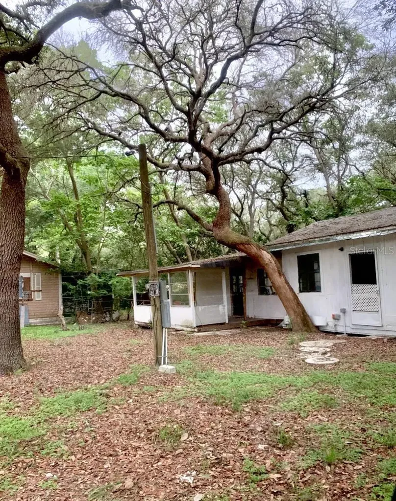 17273 NE 37th Street Silver Springs FL 34488