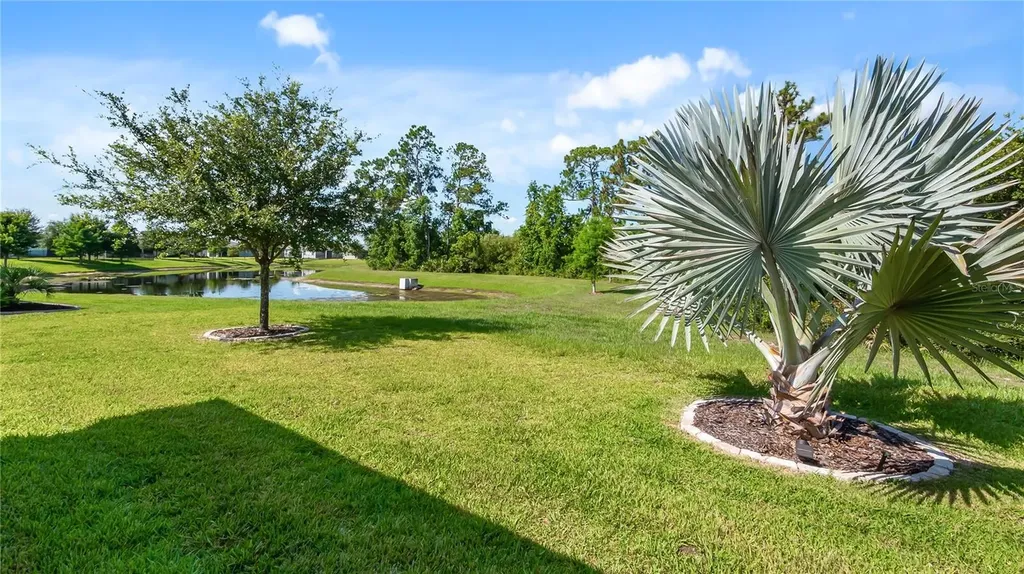 3899 Winged Elm Court Clermont FL 34714