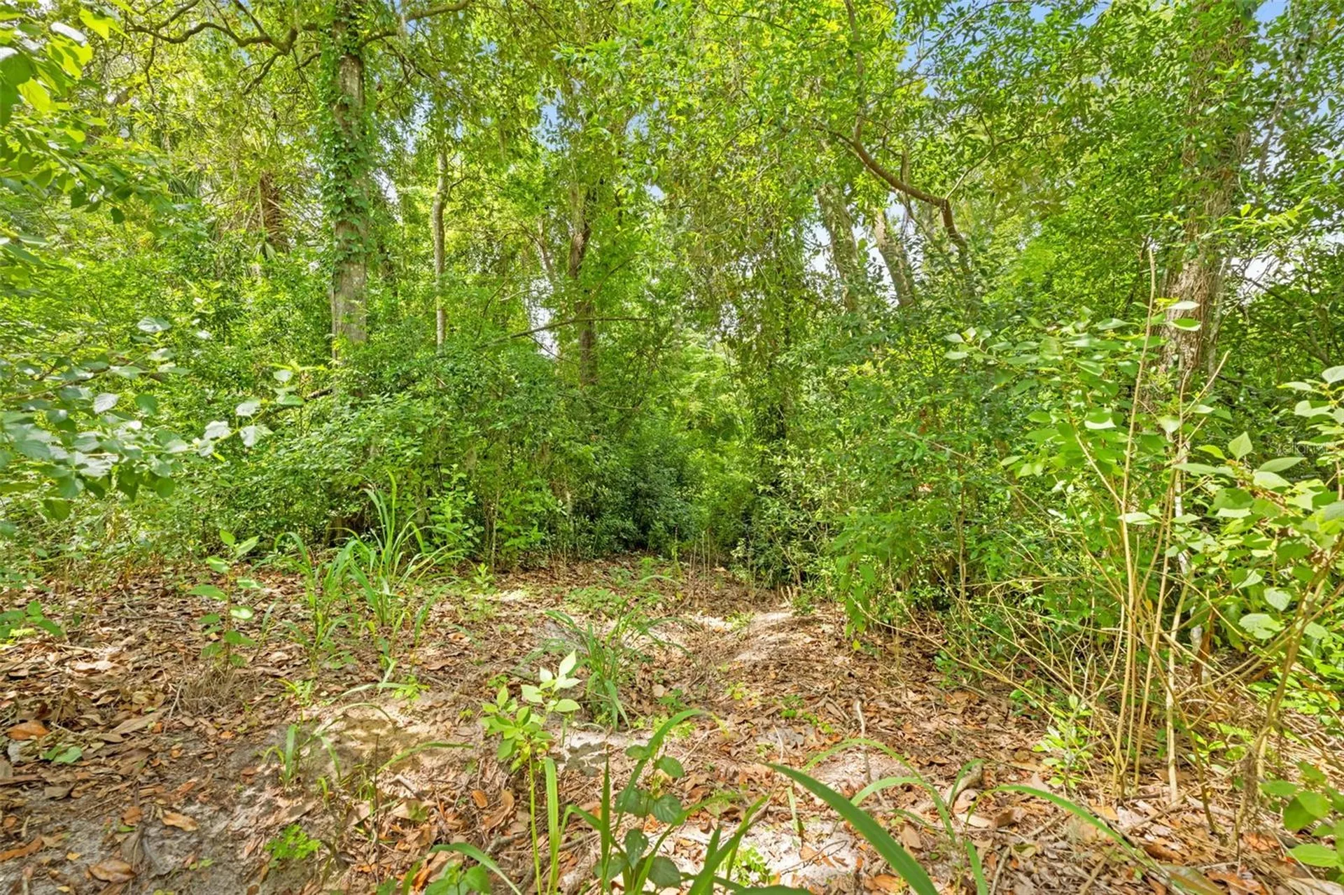 33320 Larkin Road Dade City FL 33523
