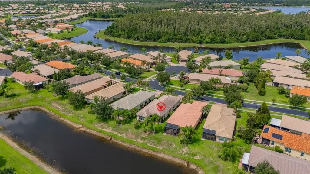 15824 Amber Falls Drive Wimauma FL 33598