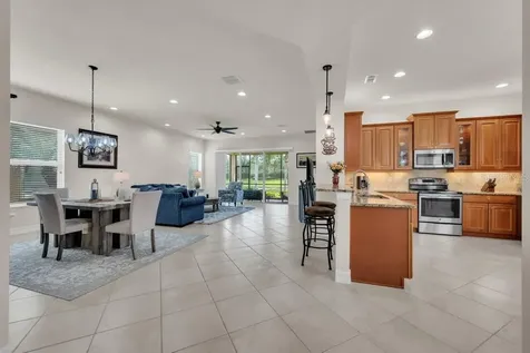 15824 Amber Falls Drive Wimauma FL 33598