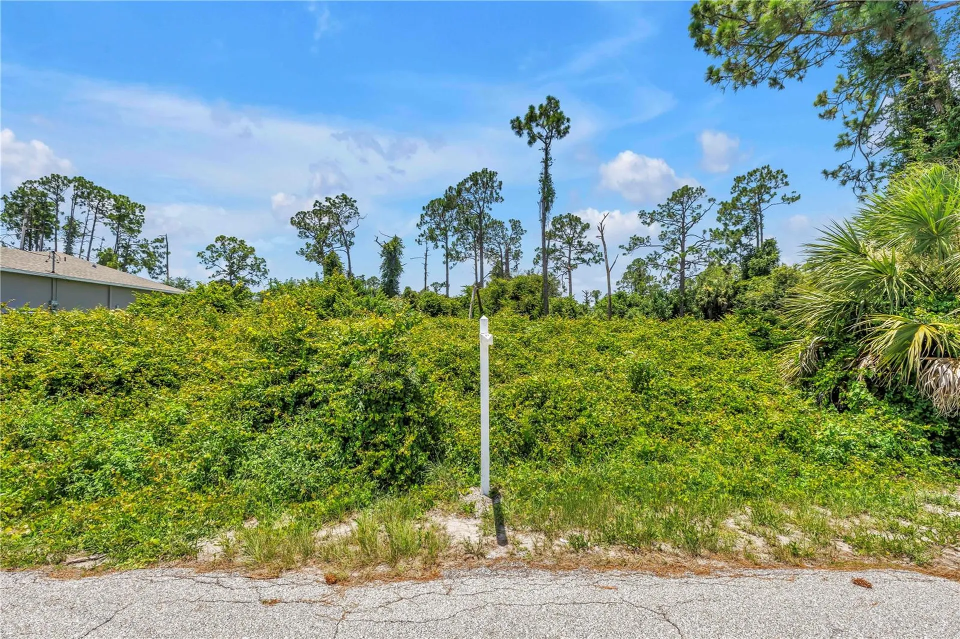 Knotty Pine Avenue North Port FL 34288