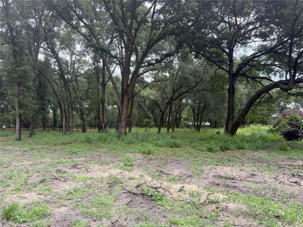 890 Grand Rondo W Crescent City FL 32112