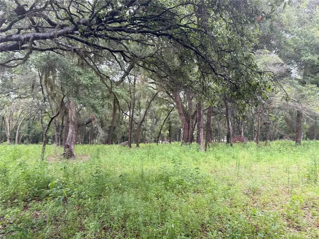 890 Grand Rondo W Crescent City FL 32112