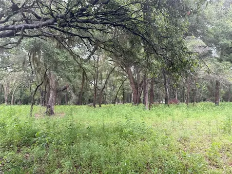 890 Grand Rondo W Crescent City FL 32112