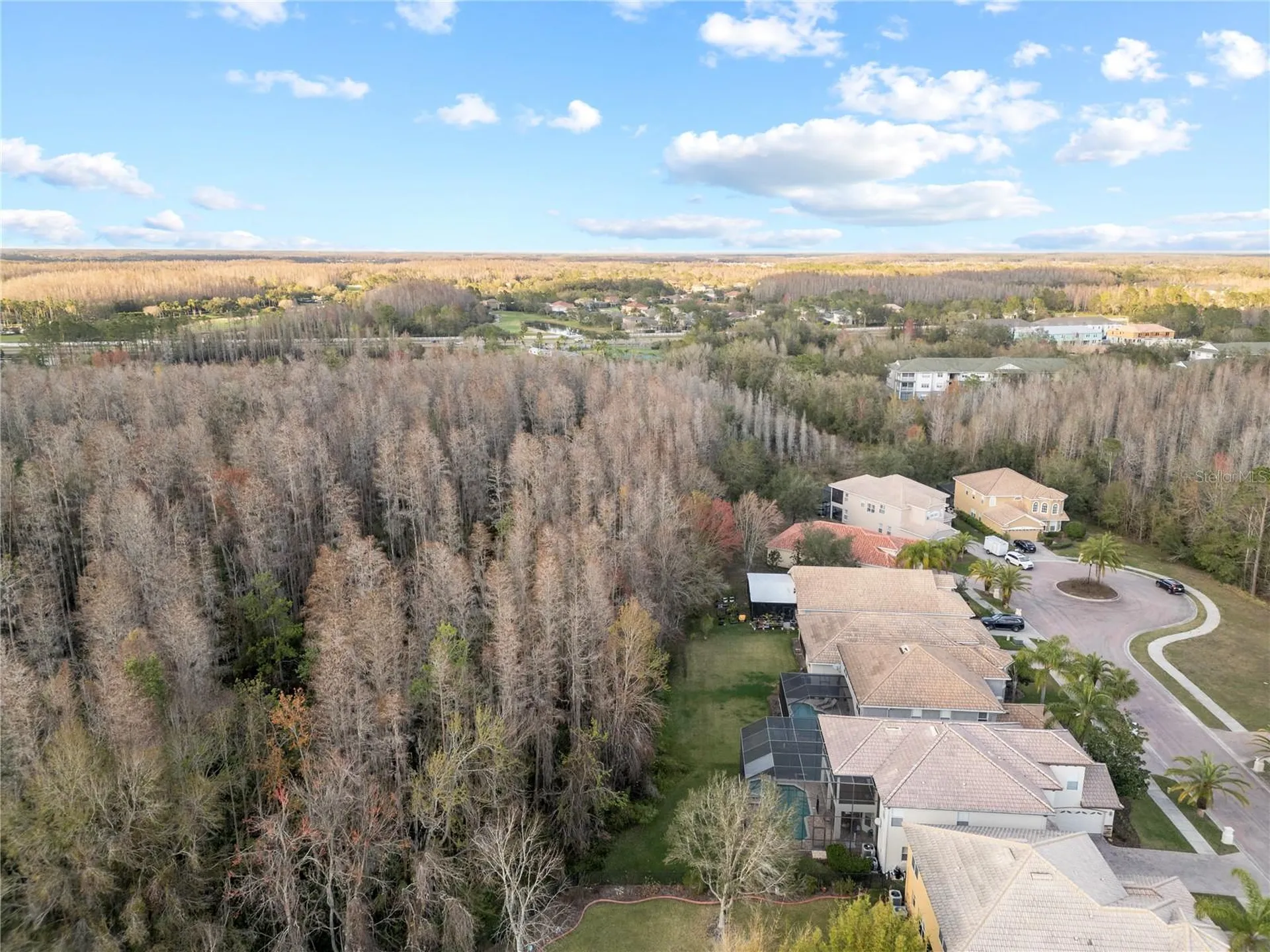 10888 Cory Lake Drive Tampa FL 33647