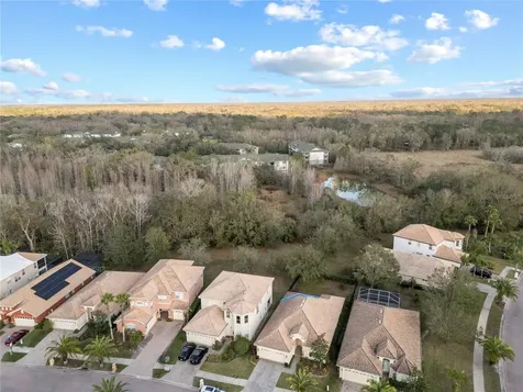 10888 Cory Lake Drive Tampa FL 33647