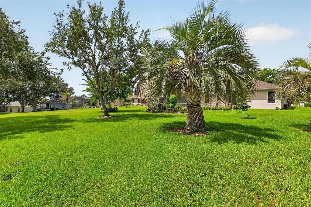 26915 Honeymoon Avenue Leesburg FL 34748