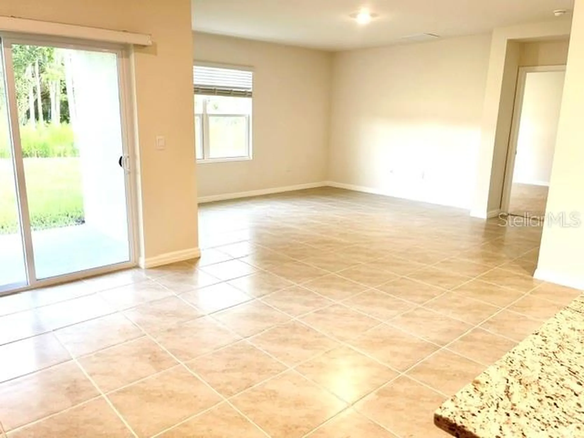 1950 Deep Lake Circle New Smyrna Beach FL 32168
