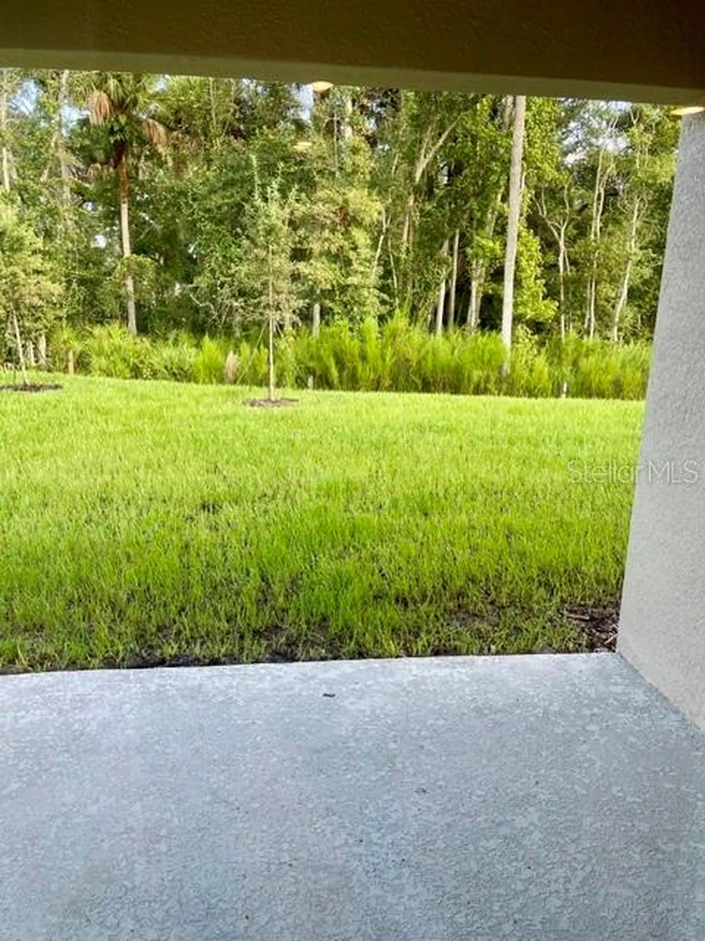 1950 Deep Lake Circle New Smyrna Beach FL 32168
