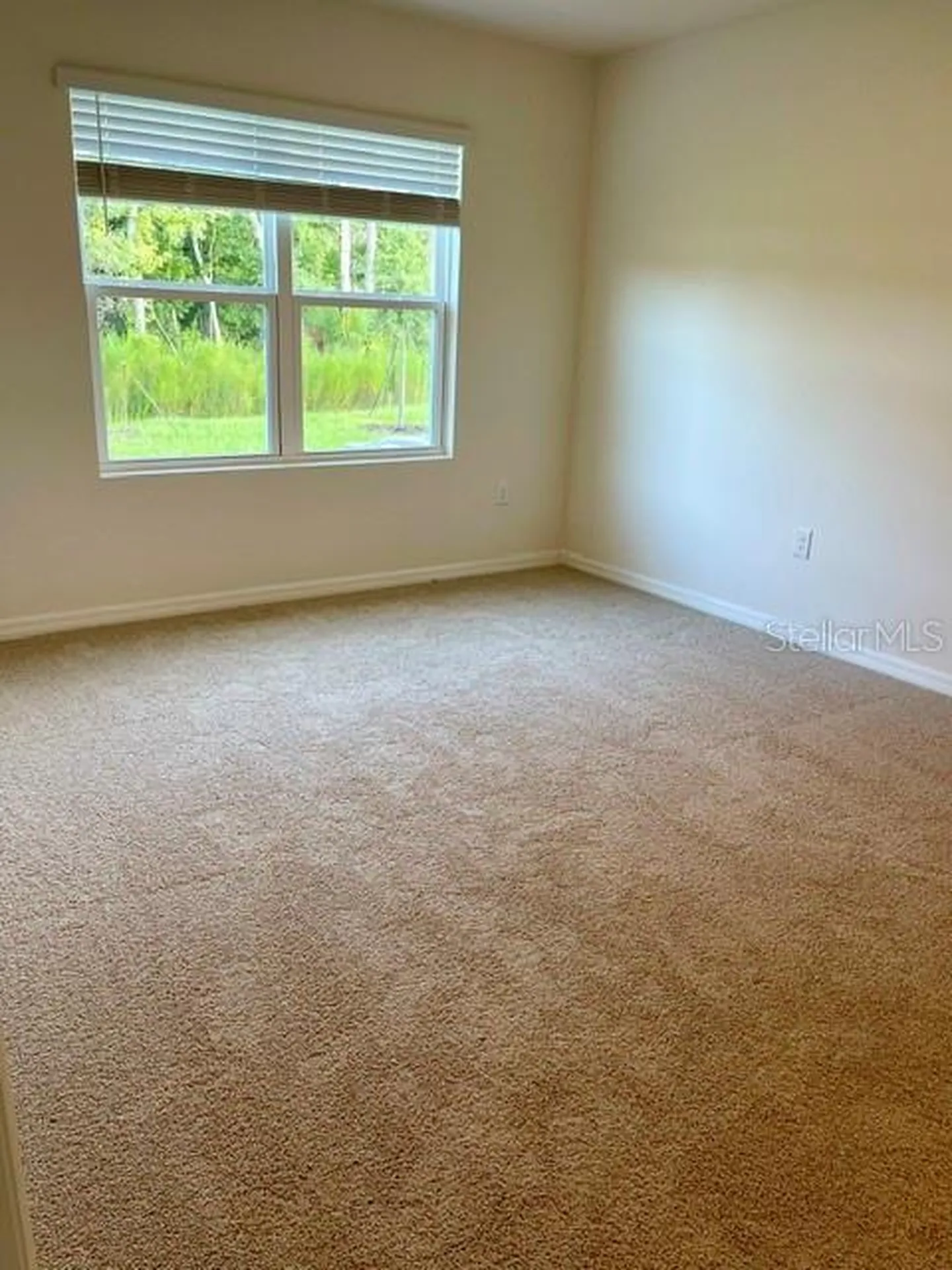 1950 Deep Lake Circle New Smyrna Beach FL 32168