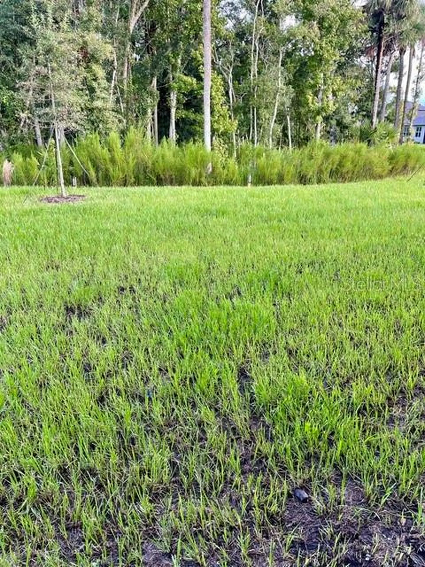 1950 Deep Lake Circle New Smyrna Beach FL 32168
