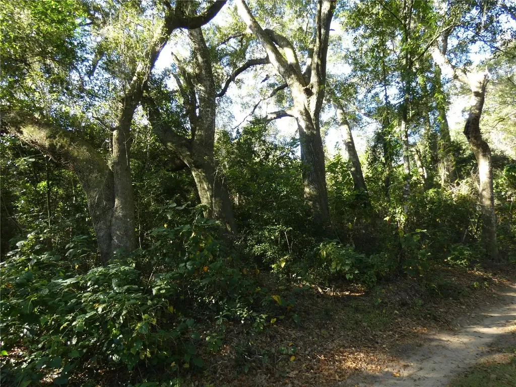 13701 NE 10th Court Citra FL 32113