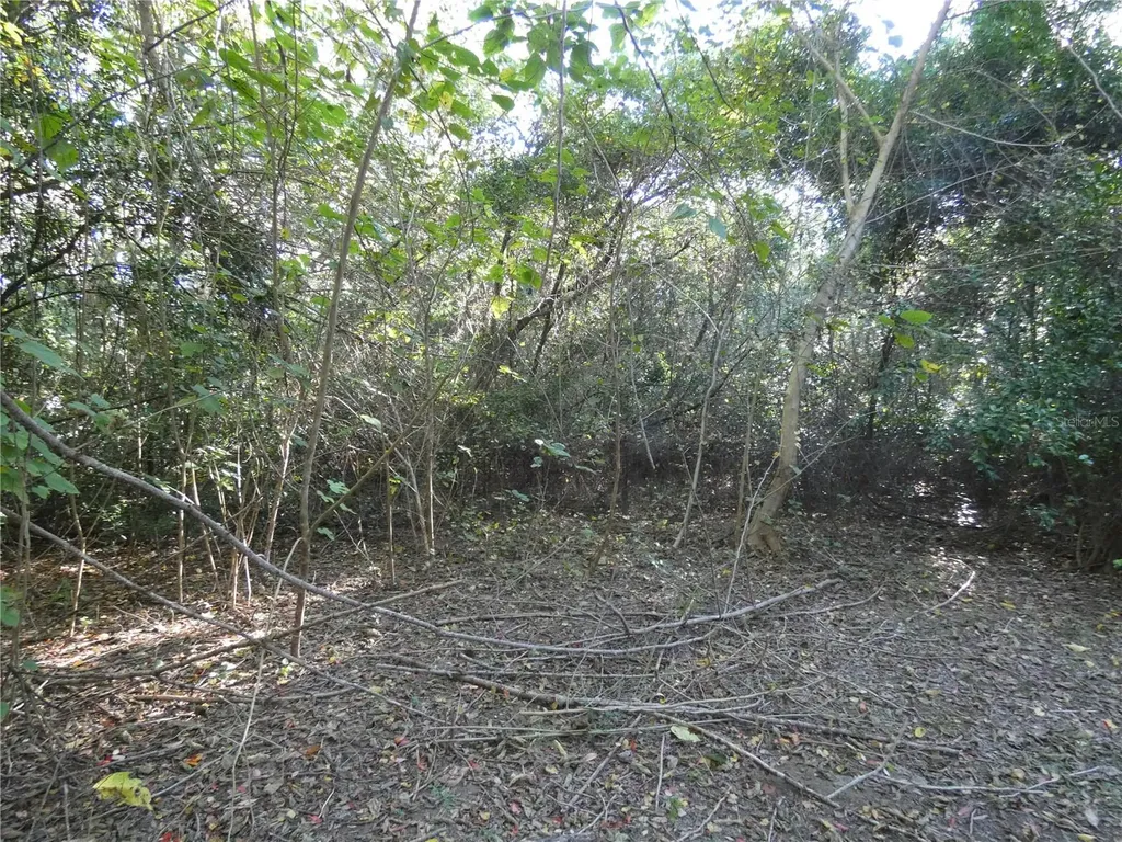 13701 NE 10th Court Citra FL 32113