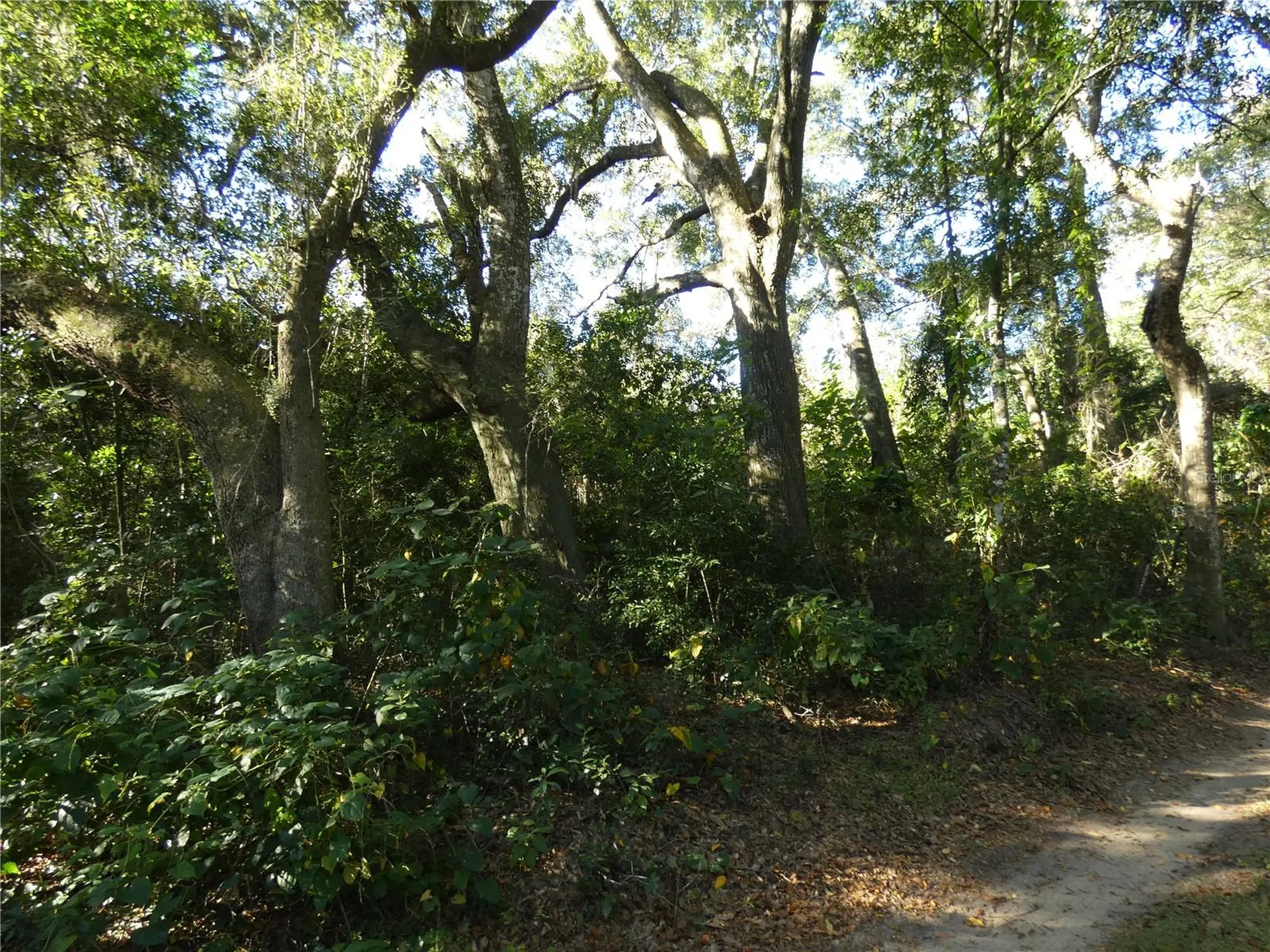 13701 NE 10th Court Citra FL 32113