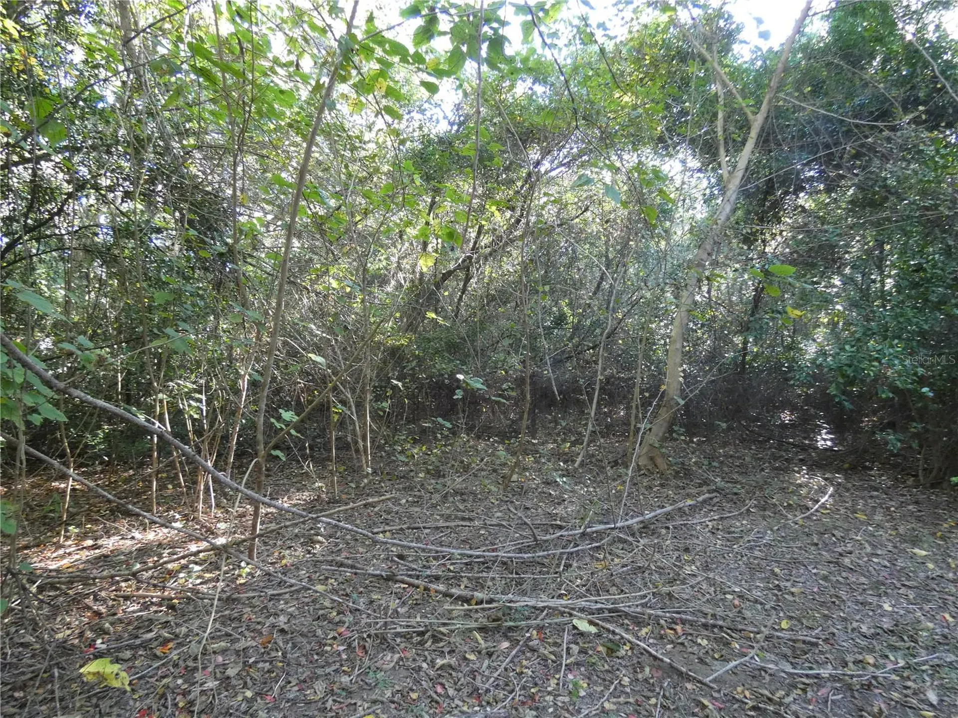 13701 NE 10th Court Citra FL 32113