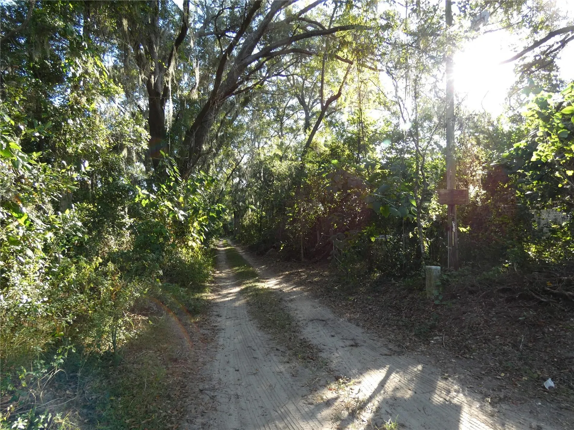 13701 NE 10th Court Citra FL 32113