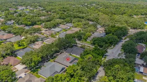 5967 Jaegerglen Drive Lithia FL 33547