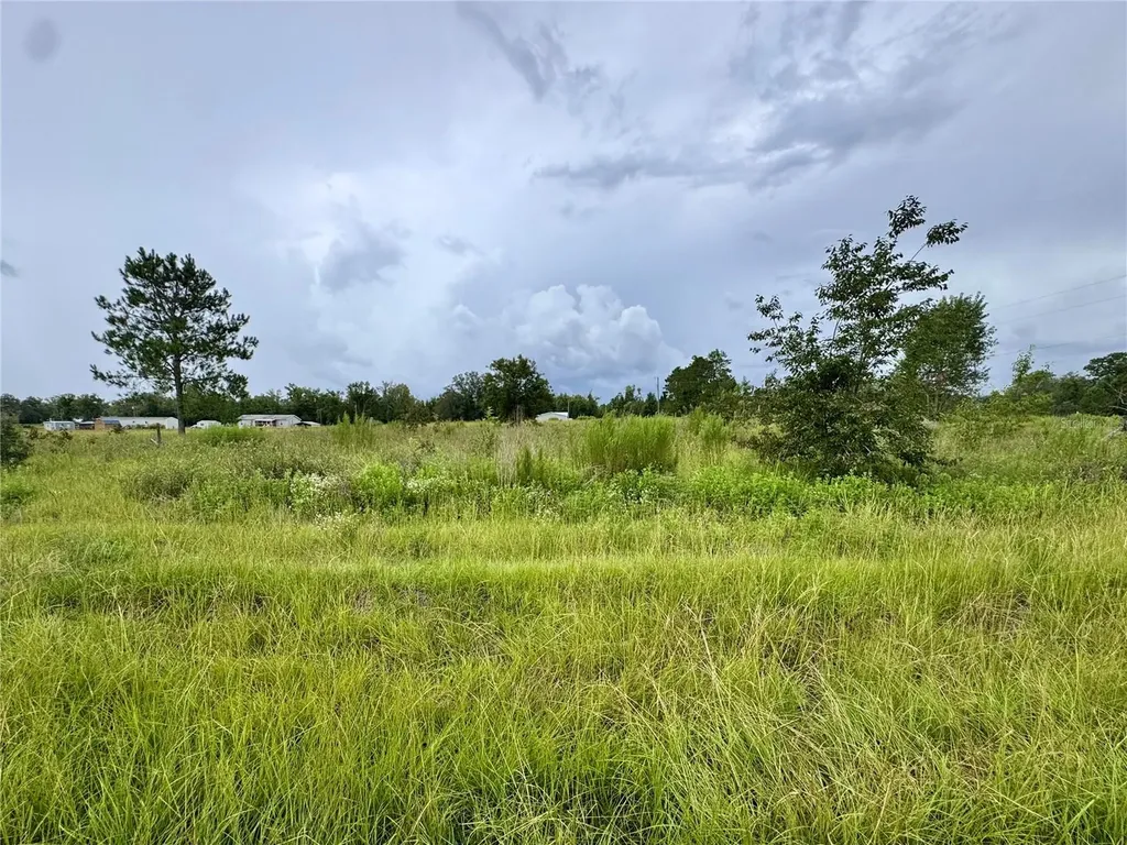 NE 96 Avenue Archer FL 32618