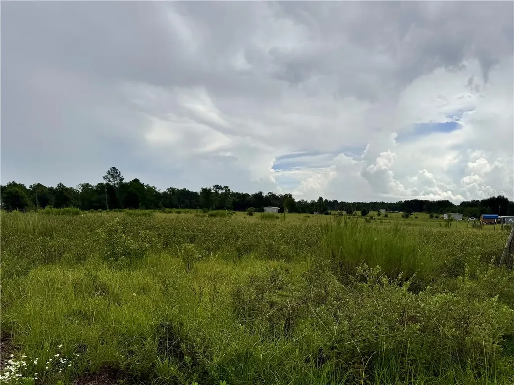NE 96 Avenue Archer FL 32618