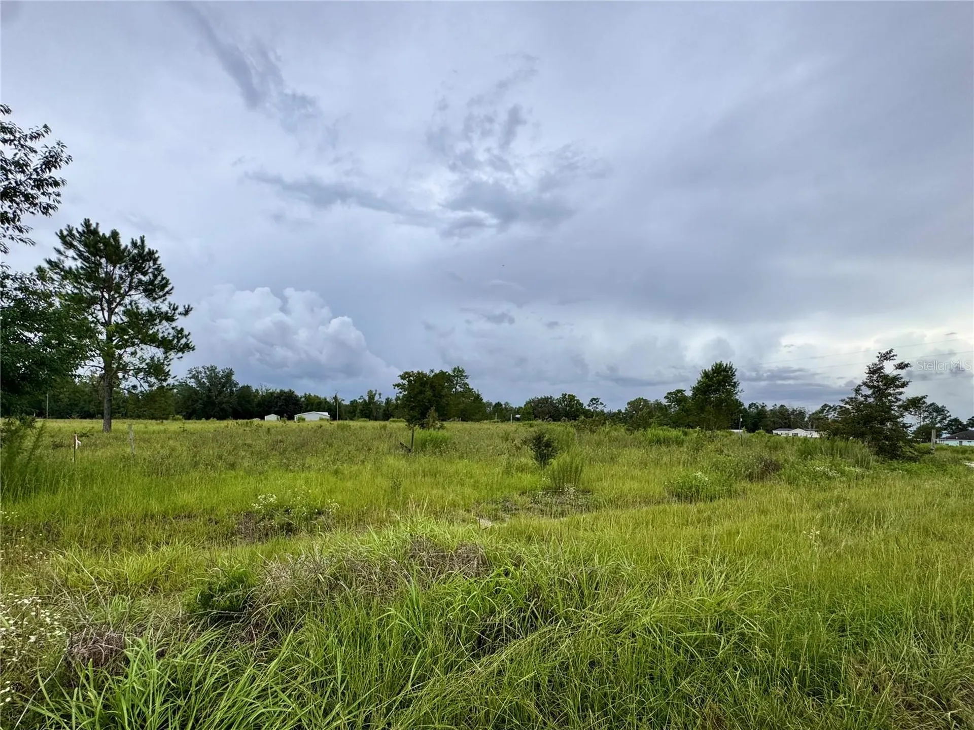 NE 96 Avenue Archer FL 32618
