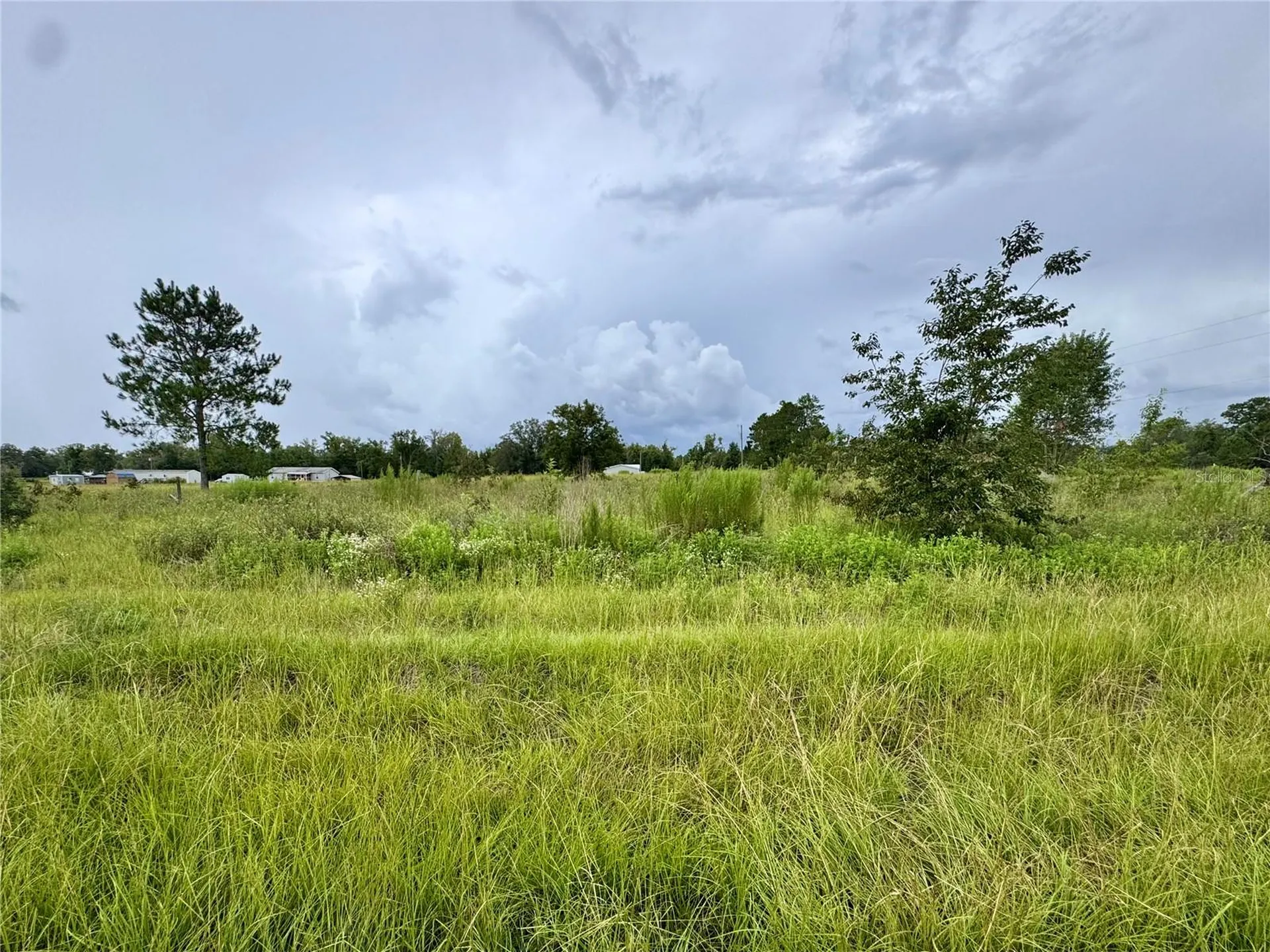 NE 96 Avenue Archer FL 32618