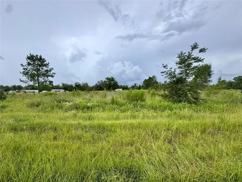 NE 96 Avenue Archer FL 32618