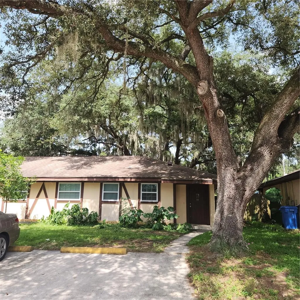 1317 Eagleview Drive Brandon FL 33510
