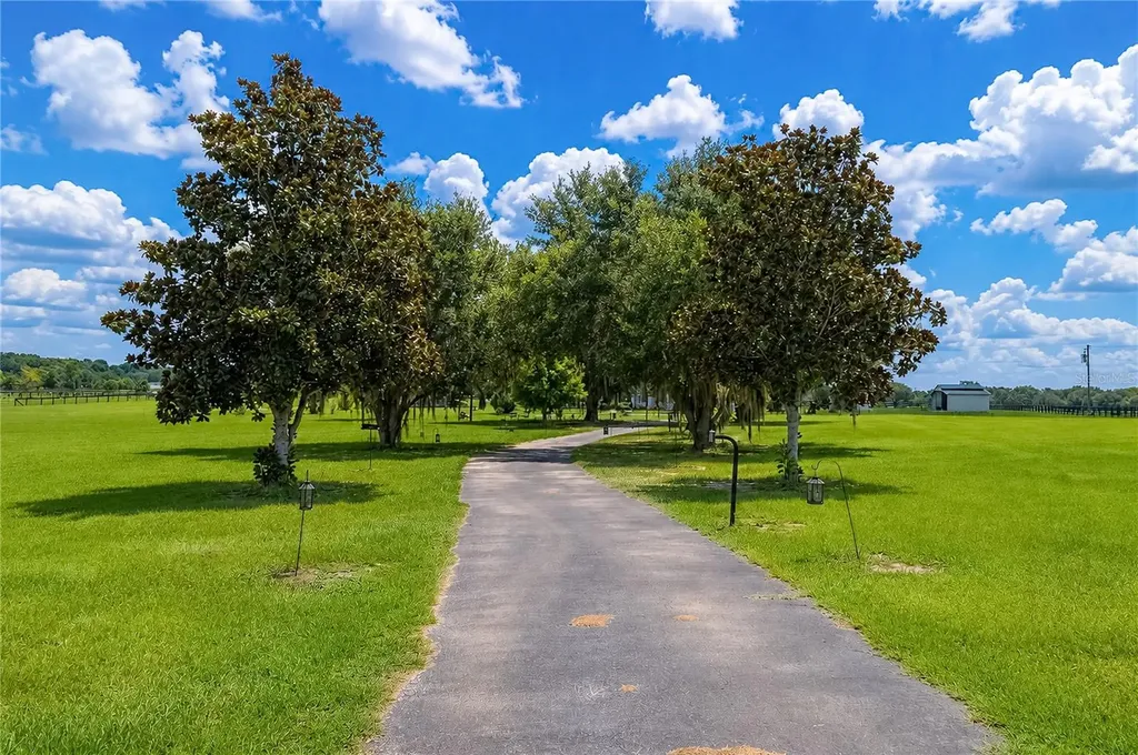 12345 NE 14th Avenue Anthony FL 32617