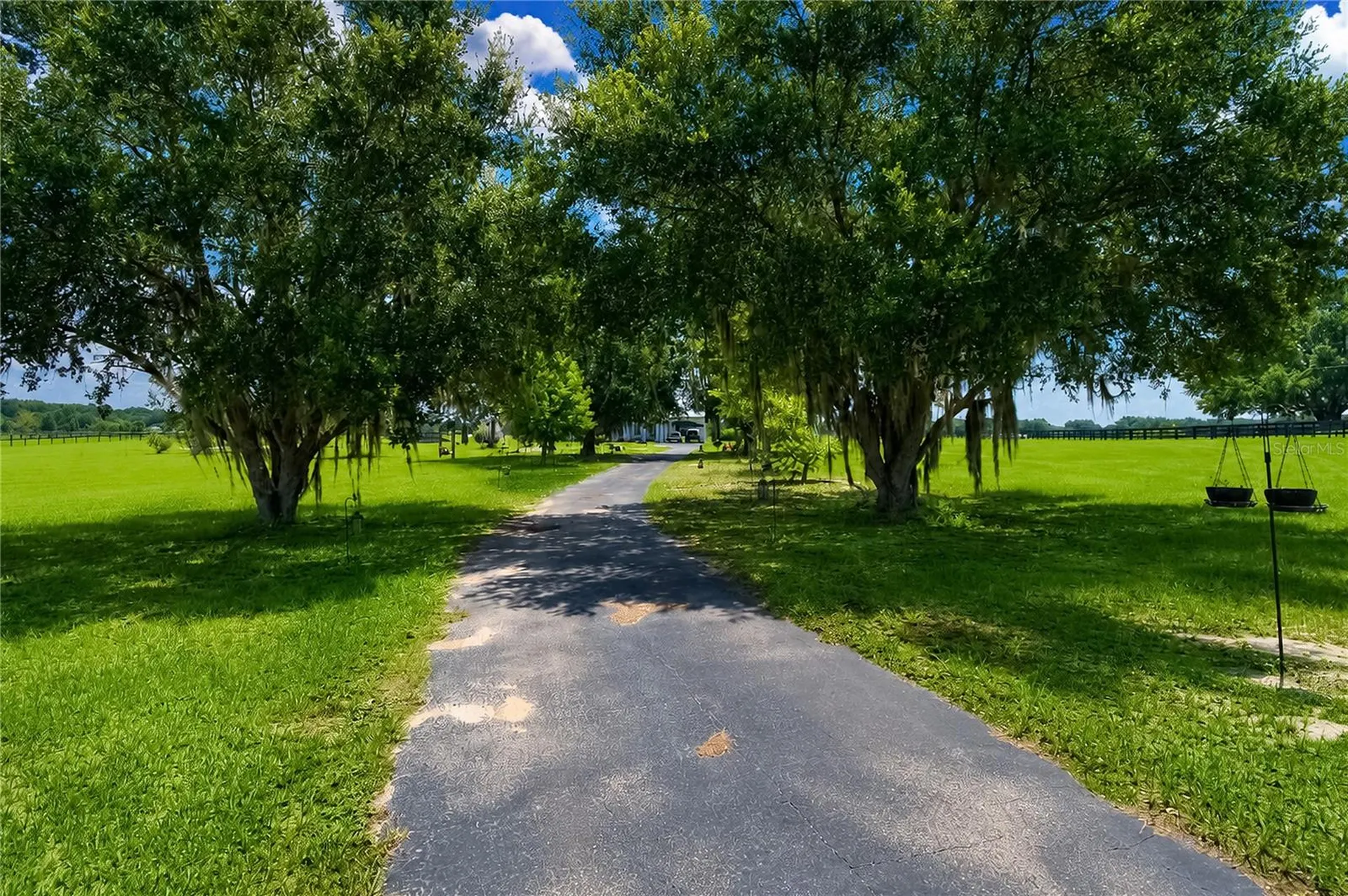 12345 NE 14th Avenue Anthony FL 32617