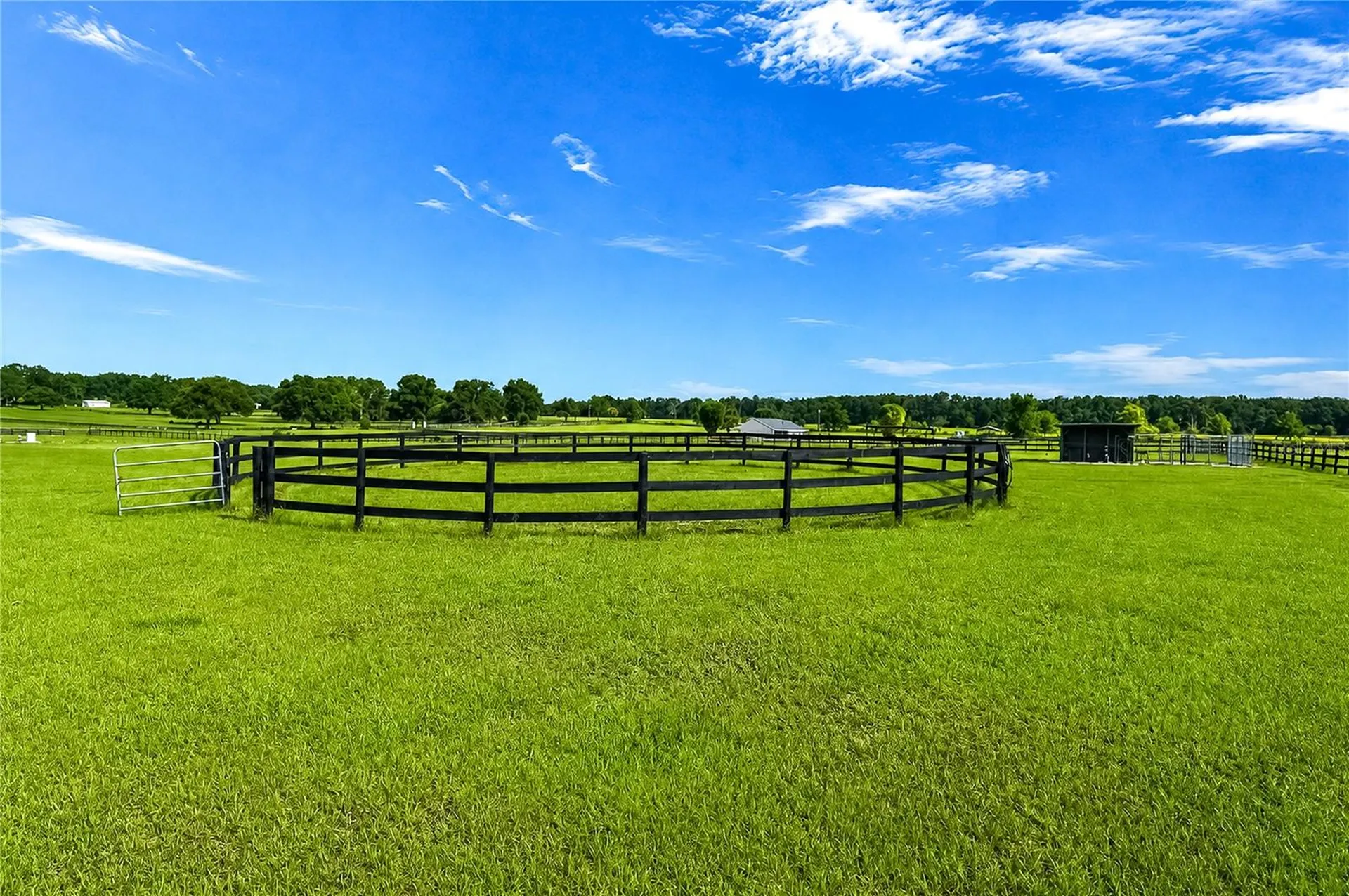 12345 NE 14th Avenue Anthony FL 32617