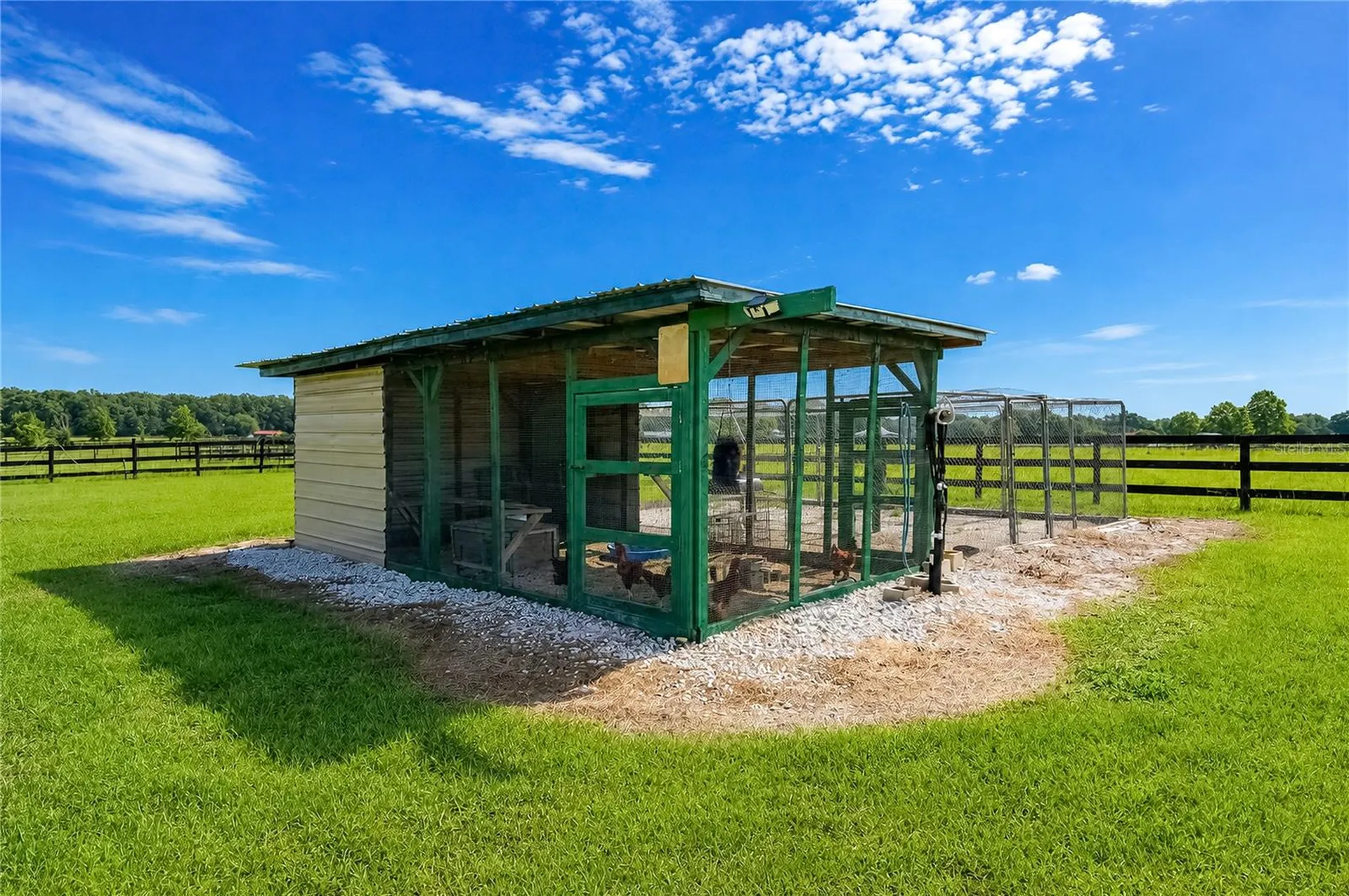 12345 NE 14th Avenue Anthony FL 32617