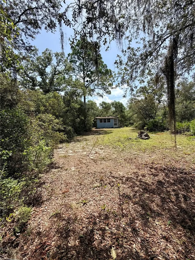 23258 NE 159th Avenue Fort Mc Coy FL 32134