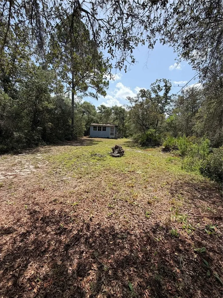 23258 NE 159th Avenue Fort Mc Coy FL 32134