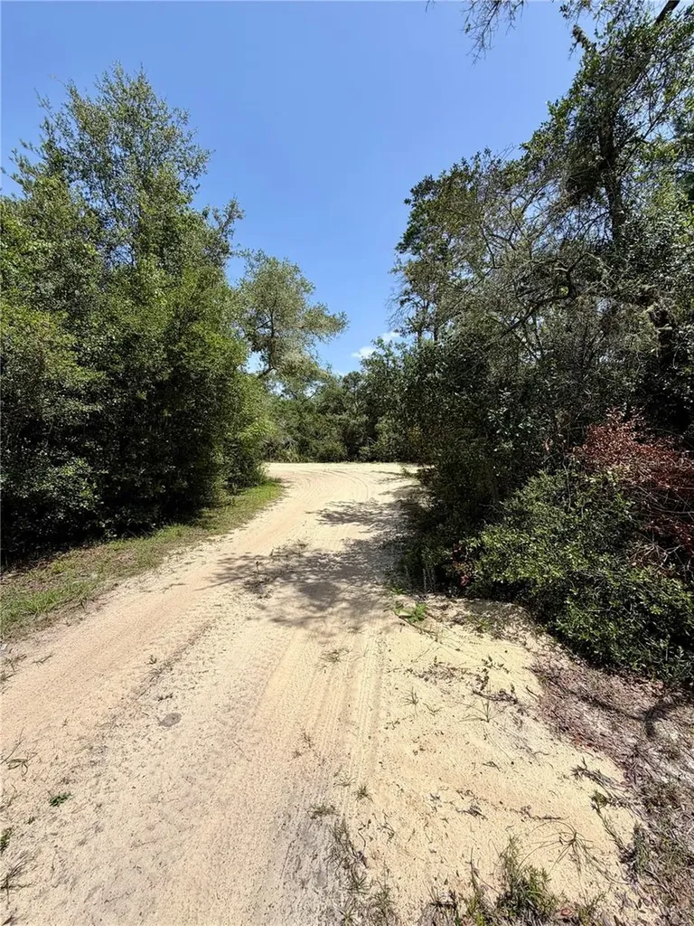 23258 NE 159th Avenue Fort Mc Coy FL 32134