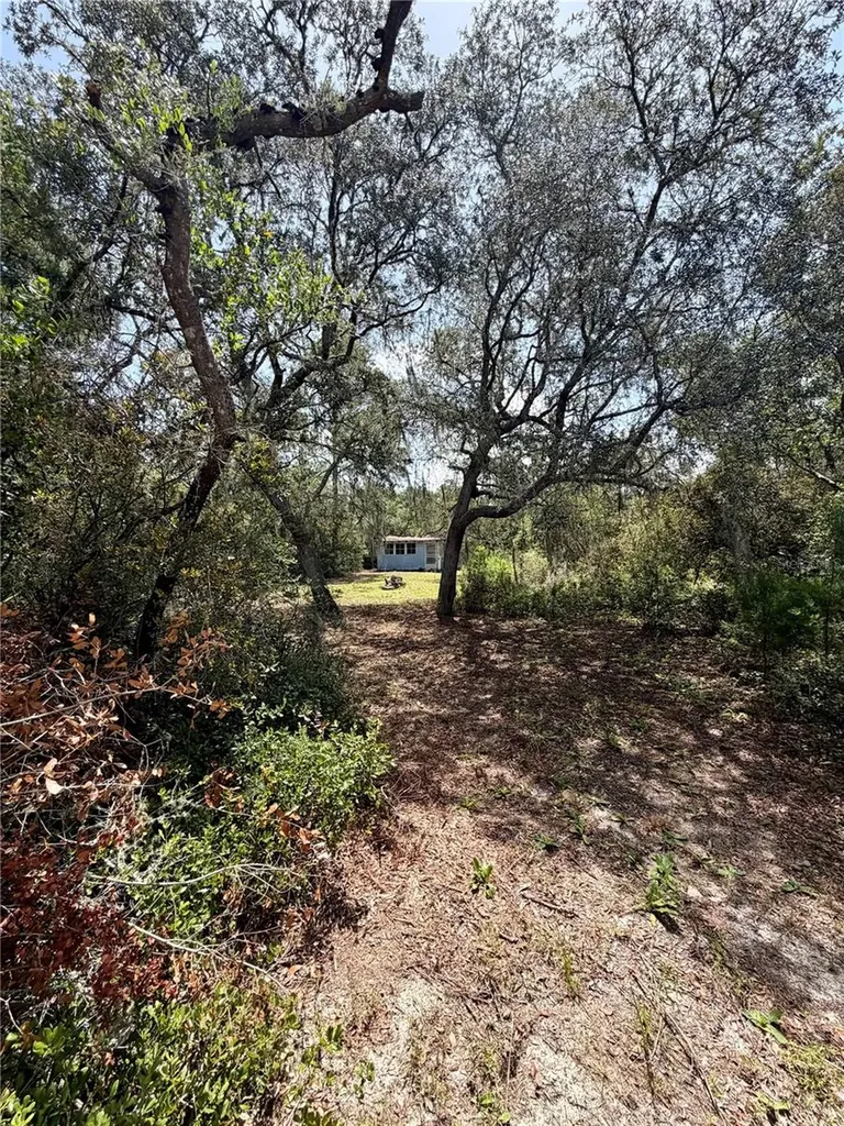 23258 NE 159th Avenue Fort Mc Coy FL 32134