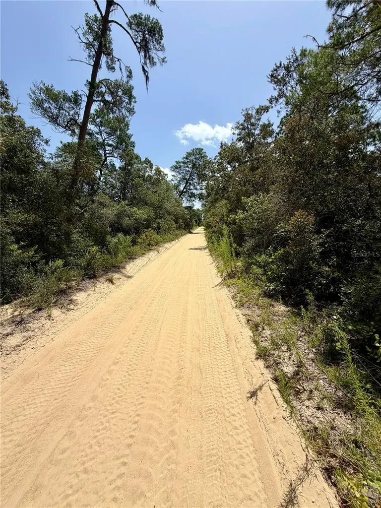 23258 NE 159th Avenue Fort Mc Coy FL 32134