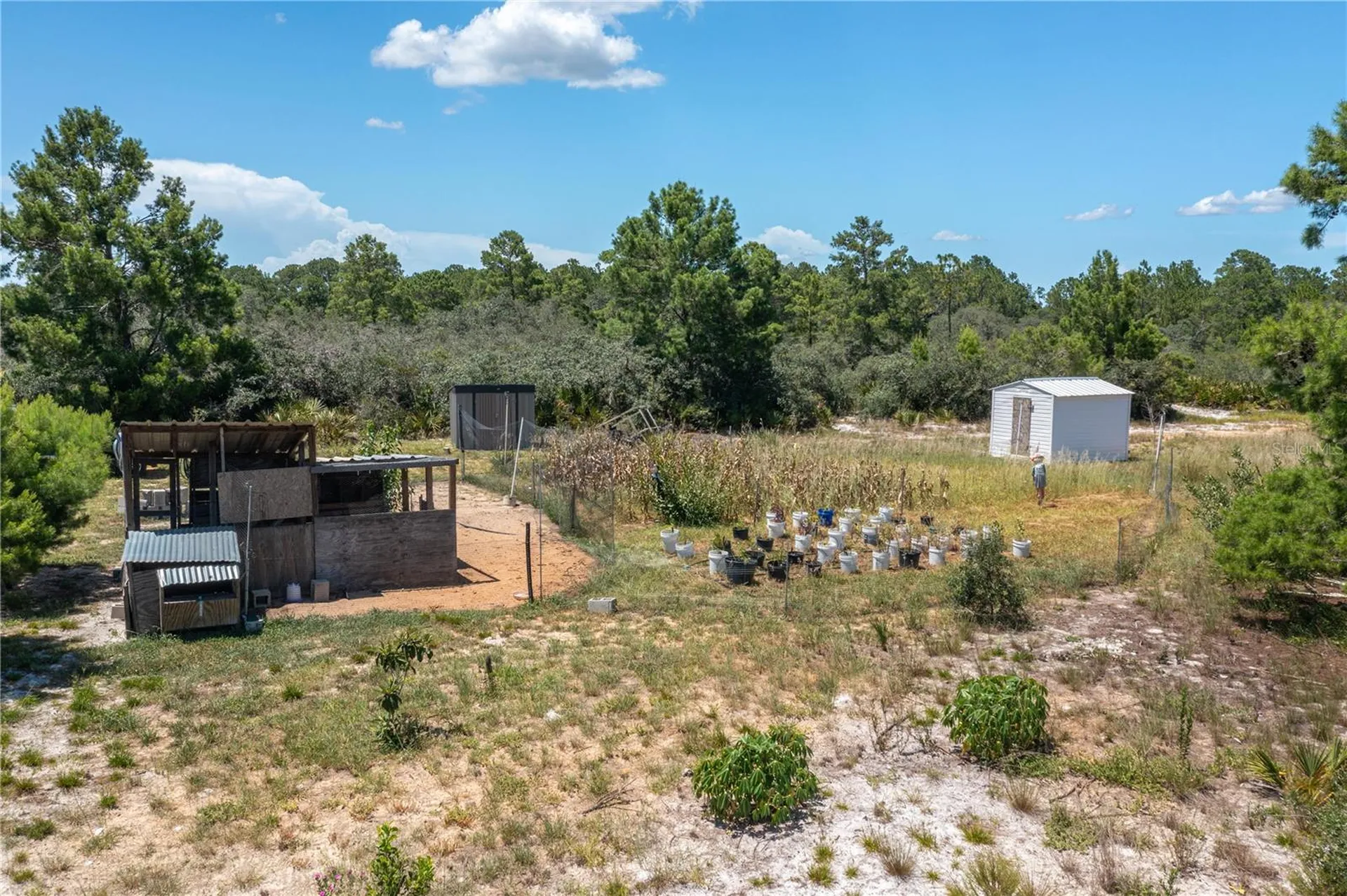 182 Woodstork Way Frostproof FL 33843