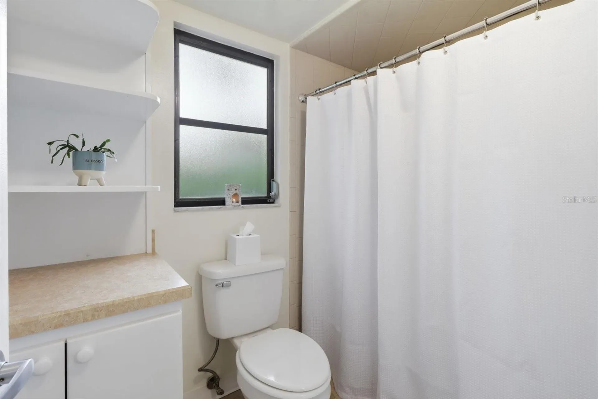 5 Dahoon Drive Homosassa FL 34446