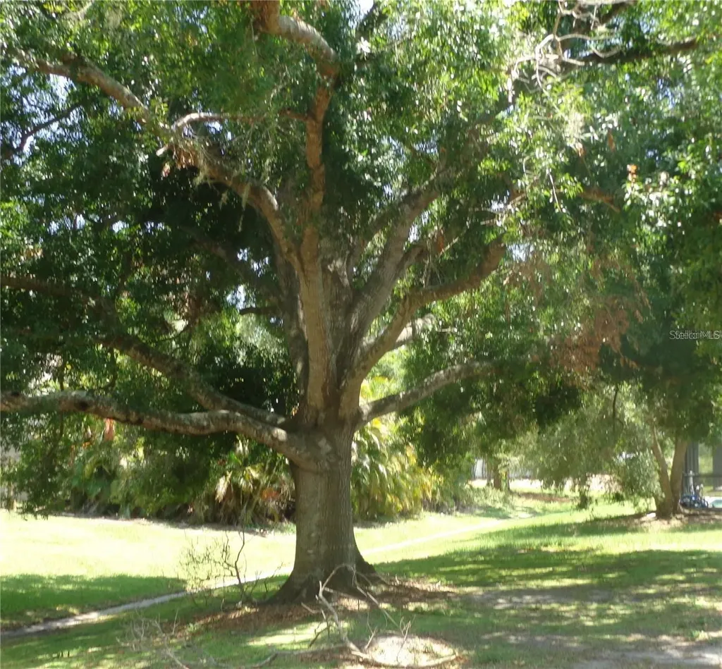 2475 Wood Oak Drive Sarasota FL 34232