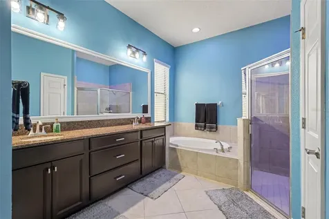 7110 Redroot Court Wesley Chapel FL 33545