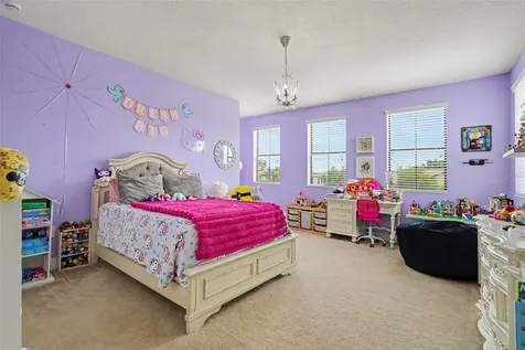 7110 Redroot Court Wesley Chapel FL 33545
