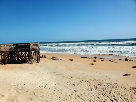 37 Sandy Beach Way Palm Coast FL 32137