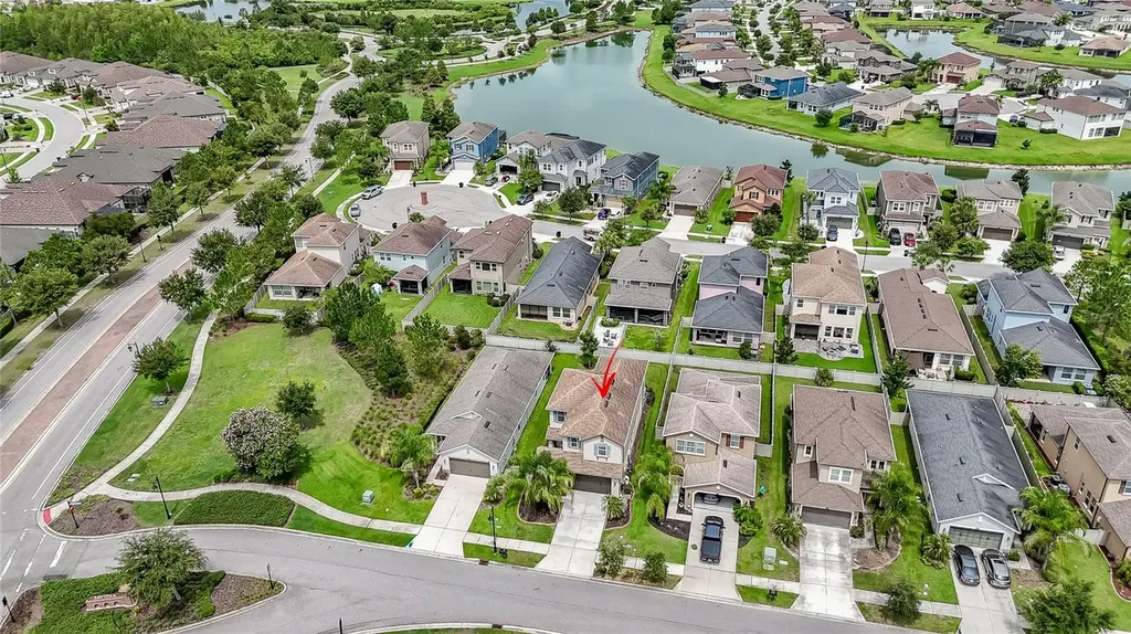 4459 Tramanto Lane Wesley Chapel FL 33543
