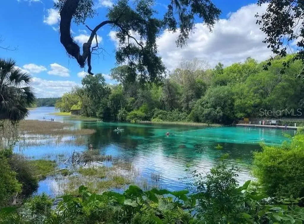 20260 SW 80th Place Road Dunnellon FL 34431