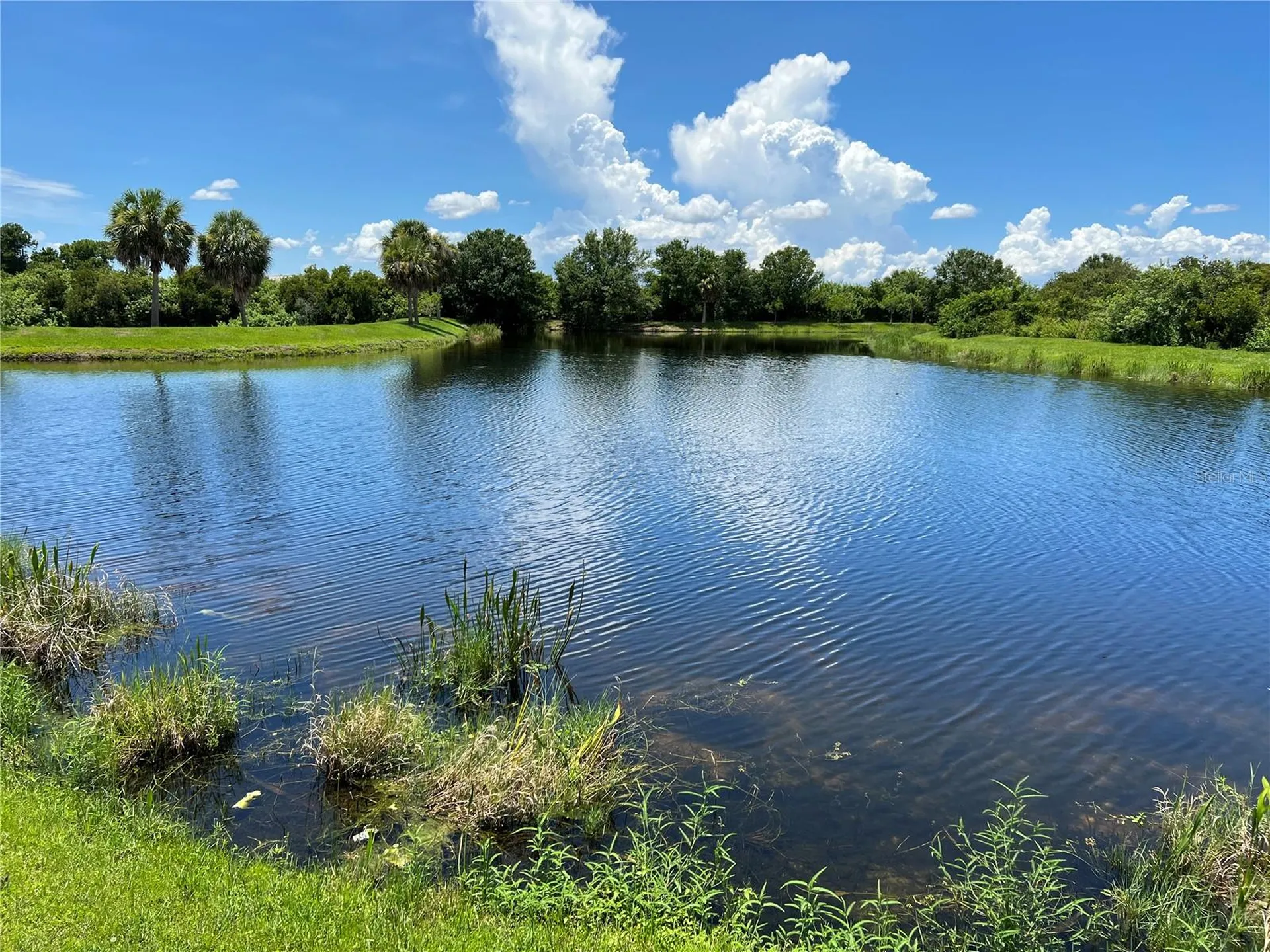 6431 Cypressdale Drive Riverview FL 33578