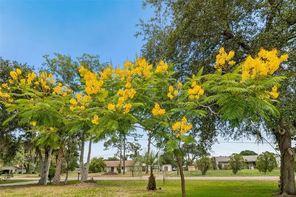 9619 Springbrook Drive Riverview FL 33578
