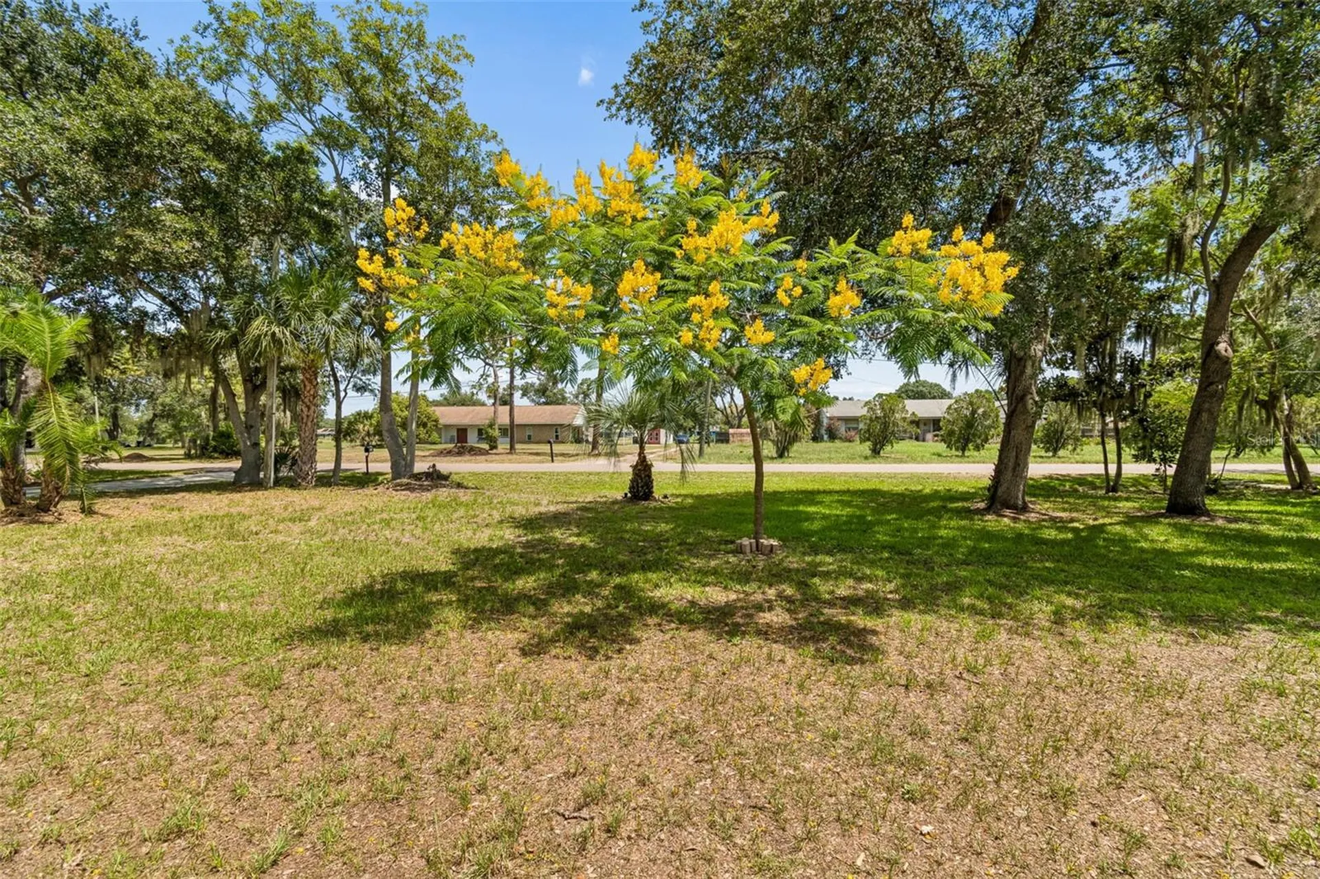 9619 Springbrook Drive Riverview FL 33578