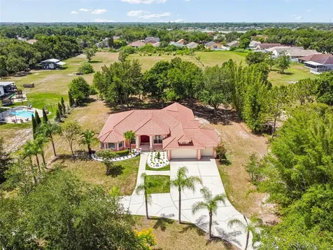 9619 Springbrook Drive Riverview FL 33578