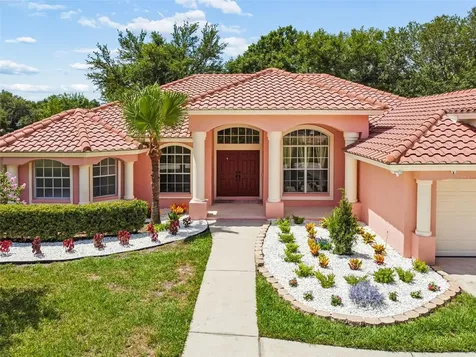 9619 Springbrook Drive Riverview FL 33578